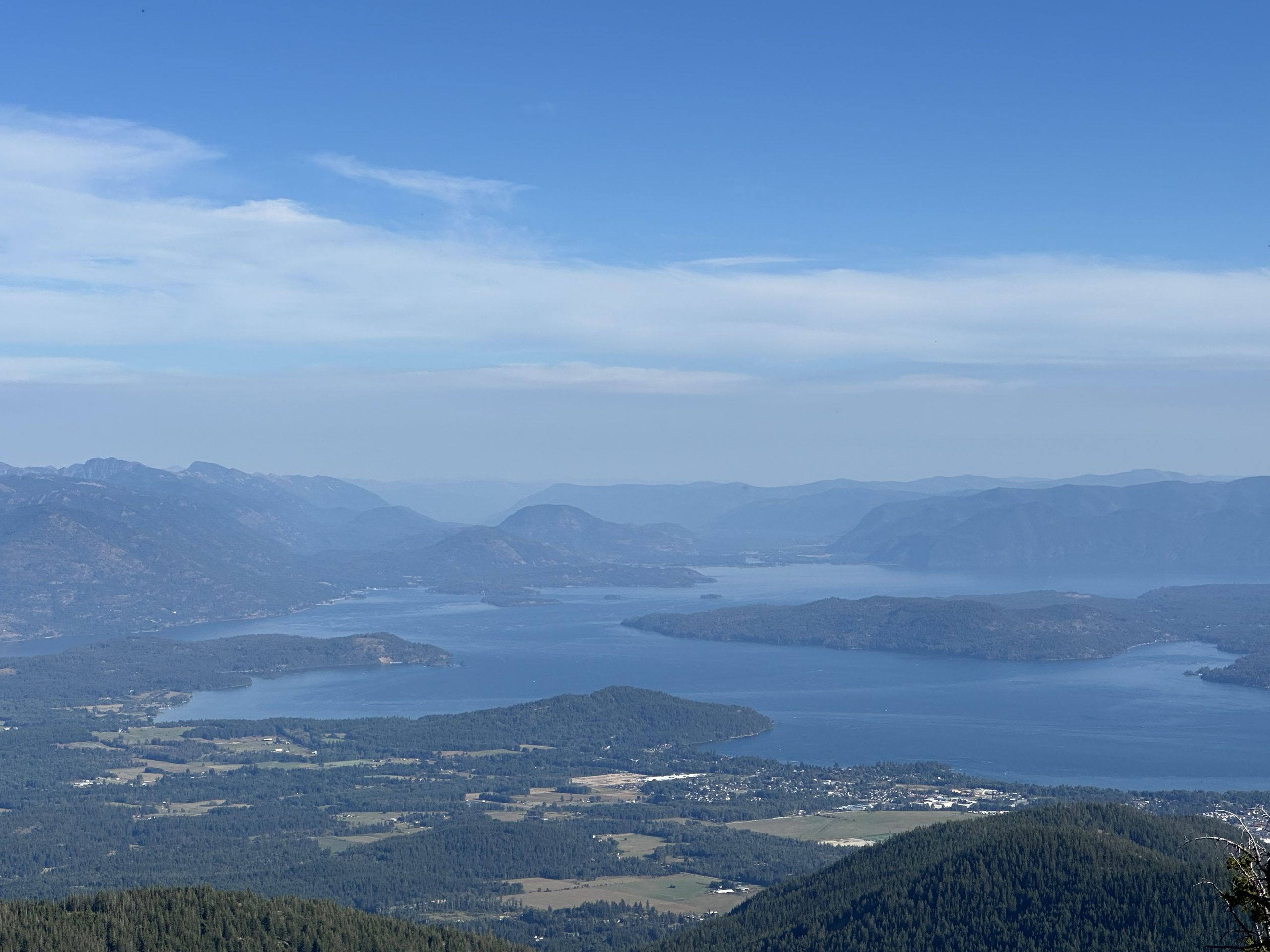 Schweitzer